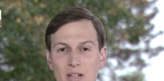 jared Kushner