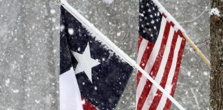 Texas Snow Flag