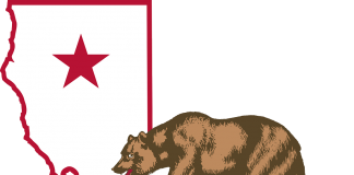 California Map Flag Bear