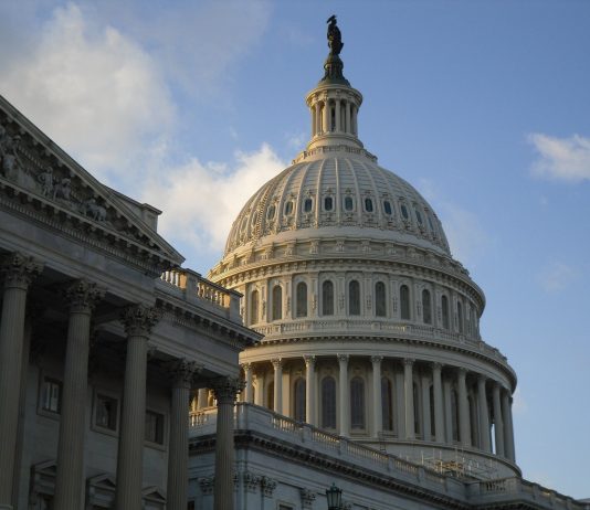 Capitol Washington DC