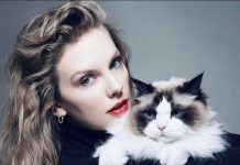 Taylor Swift with Cat