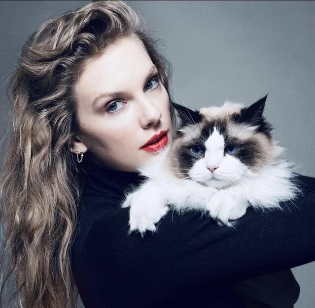 Taylor Swift with Cat