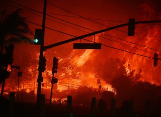 Los Angeles Fires